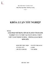 Khóa luận Giải pháp mở rộng tín dụng đối với doanh nghiệp vừa và nhỏ tại Ngân hàng TMCP Việt Nam Thịnh Vượng – phòng giao dịch Kim Liên