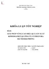 Khóa luận Giải pháp nâng cao hiệu quả sản xuất kinh doanh tại Công ty cổ phần Bia Hà Nội-Hải Phòng