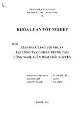 Khóa luận Giải pháp tăng lợi nhuận tại Công ty cổ phần trung tâm công nghệ phần mềm Thái Nguyên