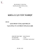 Khóa luận Giải pháp tăng lợi nhuận tại công ty cổ phần Vinafacade