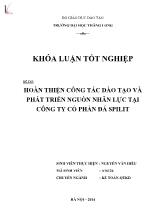 Khóa luận Hoàn thiện công tác đào tạo và phát triển nguồn nhân lực tại Công ty cổ phần đá Spilit