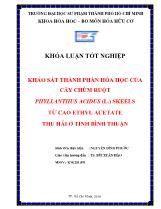 Khóa luận Khảo sát thành phần hóa học của cây chùm ruột Phyllanthus acidus (L.) Skeels từ cao ethyl acetate thu hái ở tỉnh Bình Thuận