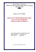 Khóa luận Khảo sát thành phần hóa học của lá cây me rừng Phyllanthus emblica