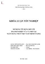 Khóa luận Mở rộng tín dụng đối với doanh nghiệp vừa và nhỏ tại Ngân hàng TMCP Việt Nam Thịnh Vượng