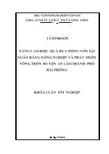 Khóa luận Nâng cao hiệu quả huy động vốn tại Ngân hàng nông nghiệp và phát triển nông thôn huyện An Lão thành phố Hải Phòng