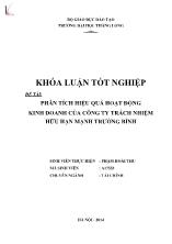 Khóa luận Phân tích hiệu quả hoạt động kinh doanh của Công ty trách nhiệm hữu hạn Mạnh Trường Bình