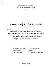 Khóa luận Phân tích hiệu quả hoạt động sản xuất kinh doanh của Công ty cổ phần tập đoàn Masan qua phân tích một số chỉ tiêu tài chính