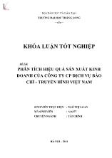 Khóa luận Phân tích hiệu quả sản xuất kinh doanh của Công ty CP dịch vụ báo chí - Truyền hình Việt Nam