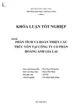 Khóa luận Phân tích và hoàn thiện cấu trúc vốn tại Công ty cổ phần Hoàng Anh Gia Lai