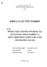 Khóa luận Phòng ngừa rủi ro tín dụng tại Ngân hàng nông nghiệp và phát triển nông thôn Việt Nam chi nhánh Láng Hạ