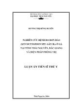 Luận án Nghiên cứu bệnh đơn bào do Leucocytozoon spp. gây ra ở gà nuôi tại tỉnh Thái Nguyên, Bắc Giang và biện pháp phòng trị