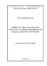 Luận án Nghiên cứu chọn tạo giống ngô năng suất cao chống chịu bệnh gỉ sắt (Puccinia sp.) cho vùng Tây Nguyên