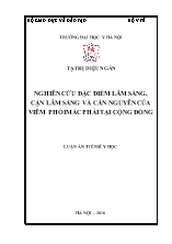 Luận án Nghiên cứu đặc điểm lâm sàng, cận lâm sàng và căn nguyên của viêm phổi mắc phải tại cộng đồng