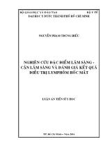 Luận án Nghiên cứu đặc điểm lâm sàng - cận lâm sàng và đánh giá kết quả điều trị Lymphôm hốc mắt