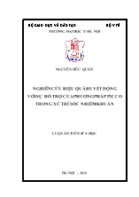 Luận án Nghiên cứu hiệu quả huyết động với sự hỗ trợ của phương pháp picco trong xử trí sốc nhiễm khuẩn