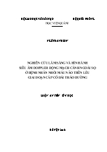 Luận án Nghiên cứu lâm sàng và hình ảnh siêu âm Doppler động mạch cảnh ngoài sọ ở bệnh nhân nhồi máu não trên lều giai đoạn cấp có đái tháo đường