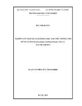 Luận án Nghiên cứu một số cơ sở khoa học cho việc thâm canh rừng luồng Dendrocalamus barbatus Hsueh et D.Z.Li tại Thanh Hóa