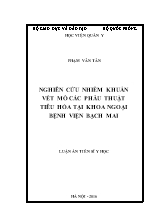 Luận án Nghiên cứu nhiễm khuẩn vết mổ các phẫu thuật tiêu hóa tại khoa ngoại Bệnh viện Bạch Mai