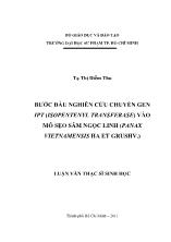 Luận văn Bước đầu nghiên cứu chuyển gen ipt (isopentenyl transferase)vào mô sẹo sâm Ngọc Linh (Panax vietnamensis Ha et Grushv.)