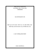 Luận văn Hiệu quả sử dụng vốn vay của hộ nông dân trên địa bàn huyện Lắk, tỉnh Đắk Lắk