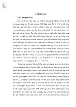 Luận văn Nâng cao hiệu quả cho vay đối với hộ nghèo tại Ngân hàng Chính sách xã hội Việt Nam - Chi nhánh huyện Phúc Thọ