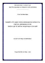 Luận văn Nghiên cứu khả năng sinh kháng sinh của chủng Aspergillus sp. phân lập từ rừng ngập mặn Cần Giờ