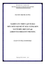 Luận văn Nghiên cứu thiết lập tế bào tiền thân nội mô từ máu cuống rốn người biểu hiện gen gfp (Green fluorescent protein)