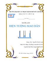 Tiểu luận Hiện tượng mao dẫn