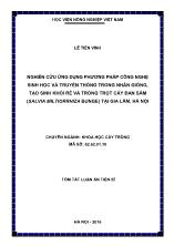 [Tóm tắt] Luận án Nghiên cứu ứng dụng phương pháp công nghệ sinh học và truyền thống trong nhân giống, tạo sinh khối rễ và trồng trọt cây Đan sâm (Salvia miltiorrhiza Bunge) tại Gia Lâm Hà Nội