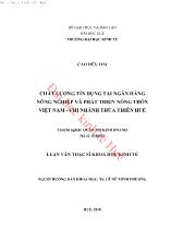 Đề tài Chất lượng tín dụng ở ngân hàng nông nghiệp và phát triển nông thôn Việt Nam - Chi nhánh thừa Thiên Huế