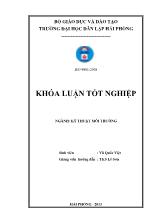 Khóa luận Môi trường biển và ven biển Hải phòng, thực trạng và đề xuất giải pháp