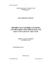 Khóa luận Tìm hiểu sưu tập hiện vật đồng văn hóa đông sơn trưng bày tại bảo tàng lịch sử Việt Nam