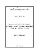 Luận án Chất lượng cuộc sống của nạn nhân, người nhà nạn nhân chất độc da cam/dioxin và hiệu quả giải pháp can thiệp