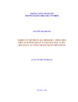 Luận án Nghiên cứu mô phỏng quá trình mưa - Dòng chảy Phục vụ sử dụng hợp lý tài nguyên nước và đất một số lưu vực sông thượng nguồn miền trung