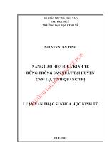 Luận văn Nâng cao hiệu quả kinh tế rừng trồng sản xuất tại huyện Cam lộ, tỉnh Quảng Trị