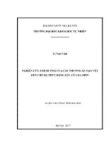 Luận văn Nghiên cứu ảnh hưởng của các phương án nạo vét đến chế độ thủy động lực cửa Đà Diễn