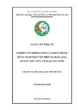 Luận văn Nghiên cứu định lượng cacbon trong rừng ngập mặn ven biển xã Hải Lạng, huyện Tiên Yên, tỉnh Quảng Ninh