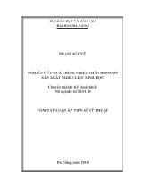 Luận văn Nghiên cứu quá trình nhiệt phân biomass sản xuất nhiên liệu sinh học