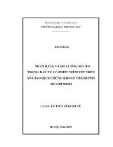 Luận văn Nhận dạng và đo lường rủi ro trong đầu tư cổ phiếu niêm yết trên sở giao dịch chứng khoán thành phố Hồ Chí Minh