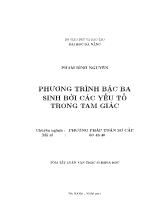 Luận văn Phương trình bậc ba sinh bởi các yếu tố trong tam giác