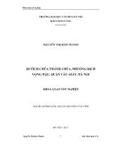 Khóa luận Di tích chùa thánh Chúa, phường dịch Vọng hậu, quận Cầu giấy, Hà Nội