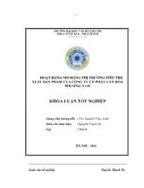 Khóa luận Hoạt động mở rộng thị trường tiêu thụ xuất bản phẩm của công ty cổ phần văn hóa Phương Nam