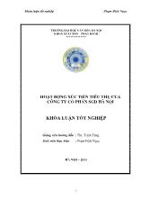 Khóa luận Hoạt động xúc tiến tiêu thụ của công ty cổ phần SGD Hà Nội