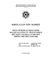 Khóa luận Phân tích hoạt động kinh doanh tại công ty trách nhiệm hữu hạn văn hóa và truyền thông trí việt năm 2008