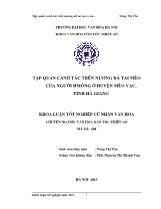 Luận văn Tập quán canh tác trên nương đá tai mèo của người Hmông ở huyện Mèo vạc, tỉnh Hà Giang